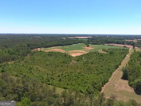 0 Ben Hadden Rd, Stapleton, GA 30823 photo 5