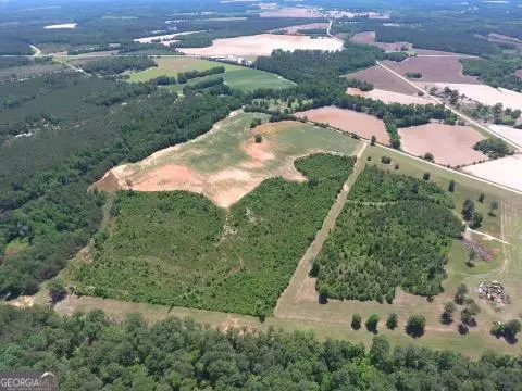 0 Ben Hadden Rd, Stapleton, GA 30823 photo 7
