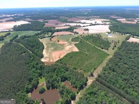 0 Ben Hadden Rd, Stapleton, GA 30823 photo 8
