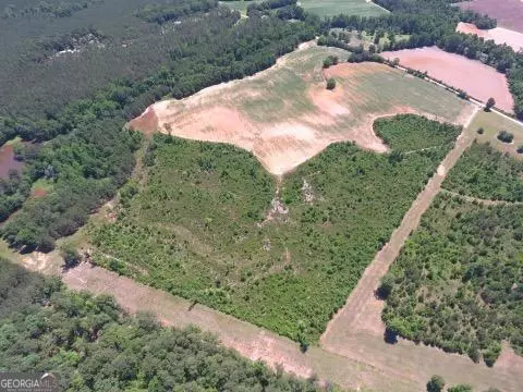 0 Ben Hadden Rd, Stapleton, GA 30823 photo 6