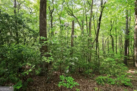0 Amicalola Dr, Dawsonville, GA 30534