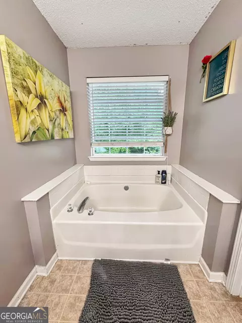 Bath - 146 Henry Higgins Rd, Jackson, GA 30233 photo 2 of 5