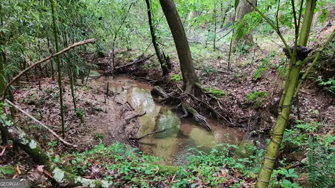 1136 Dolly Nixon Rd, Senoia, GA 30276