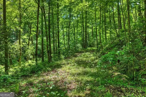 lot106 Mountain Creek Hollow Dr, Talking Rock, GA 30175