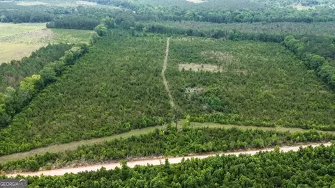 0 Adams Hammock Rd, Lyons, GA 30436