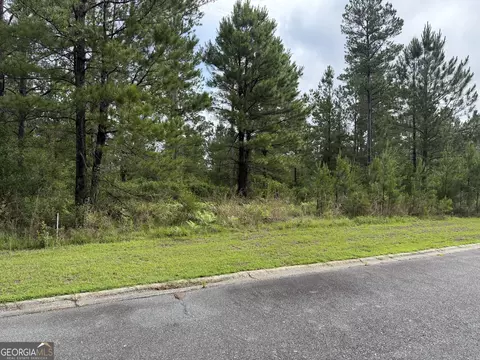 0 59 Big Horse Dr, Waynesville, GA 31566