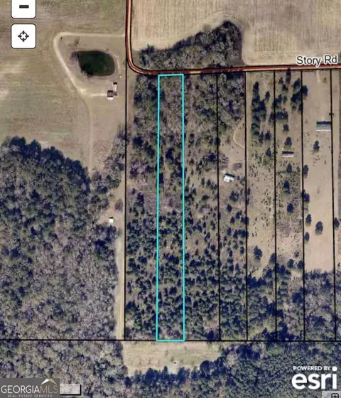 tbd Story Rd Lot #2, Arabi, GA 31712