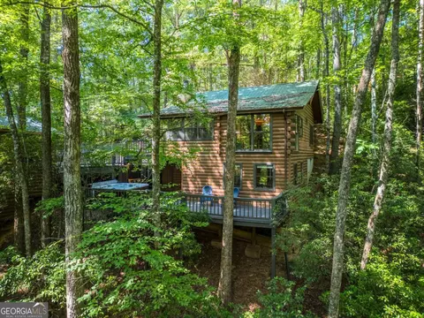 556 Cherry Lake Dr, Cherry Log, GA 30522