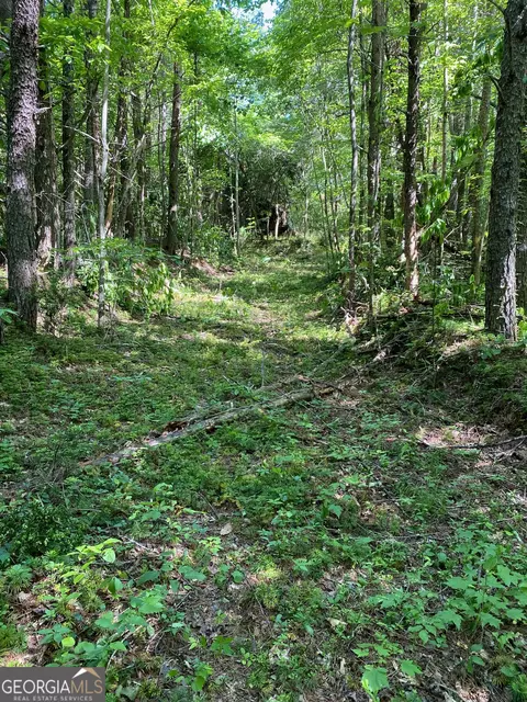 0 Hardman Rd, Sautee Nacoochee, GA 30571