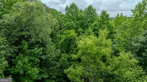 0 Almond Rd, Franklin, GA 30217 photo 10