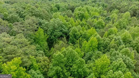 0 Almond Rd, Franklin, GA 30217 photo 11