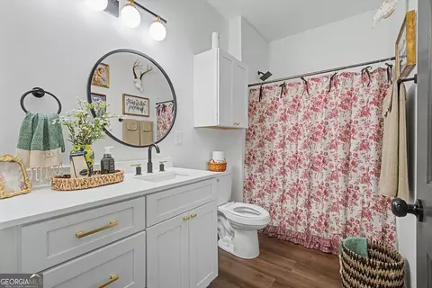 Bath - 91 Holly Rd, Bowdon, GA 30108 photo 3 of 5