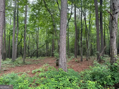 646 Lakeside Rd, Williamson, GA 30292 photo 11