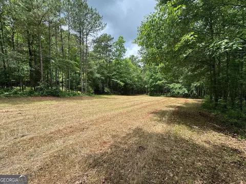 646 Lakeside Rd, Williamson, GA 30292 photo 21