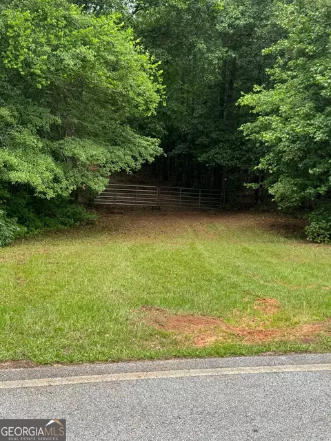 646 Lakeside Rd, Williamson, GA 30292 photo 23
