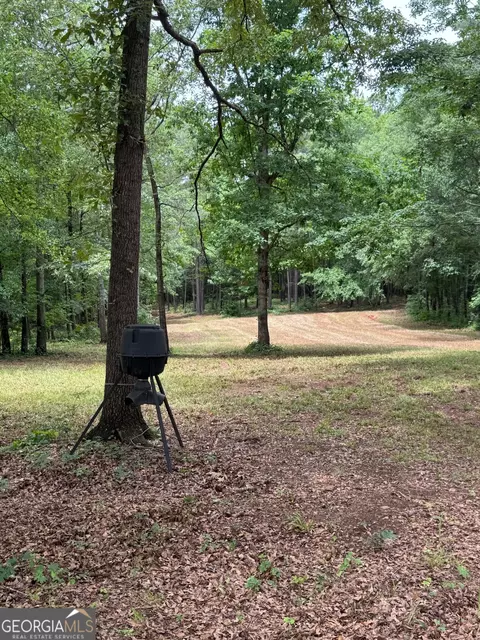 646 Lakeside Rd, Williamson, GA 30292 photo 19