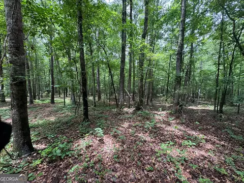 646 Lakeside Rd, Williamson, GA 30292 photo 20