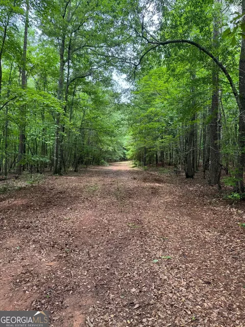646 Lakeside Rd, Williamson, GA 30292 photo 3