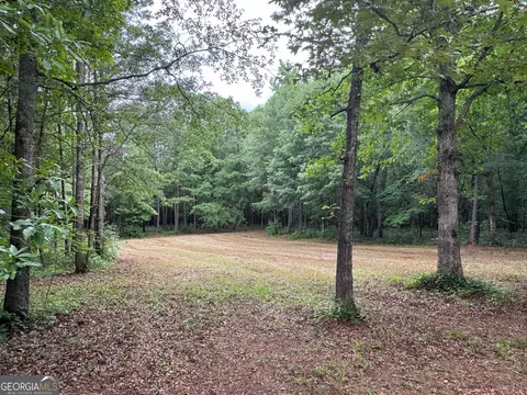 646 Lakeside Rd, Williamson, GA 30292 photo 9