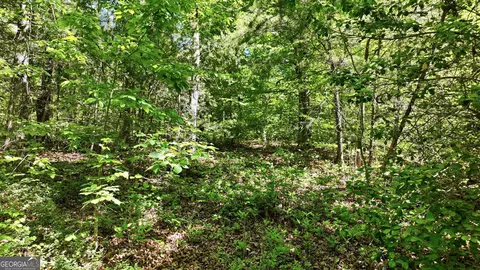 201 Spookhaven Ln, Clarkesville, GA 30523 photo 12