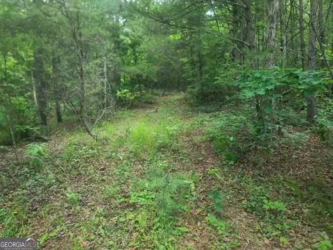 201 Spookhaven Ln, Clarkesville, GA 30523 photo 14