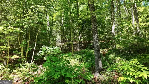 201 Spookhaven Ln, Clarkesville, GA 30523 photo 10