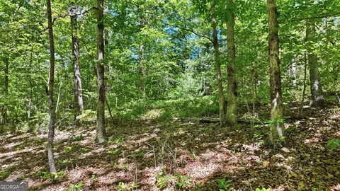 201 Spookhaven Ln, Clarkesville, GA 30523 photo 11