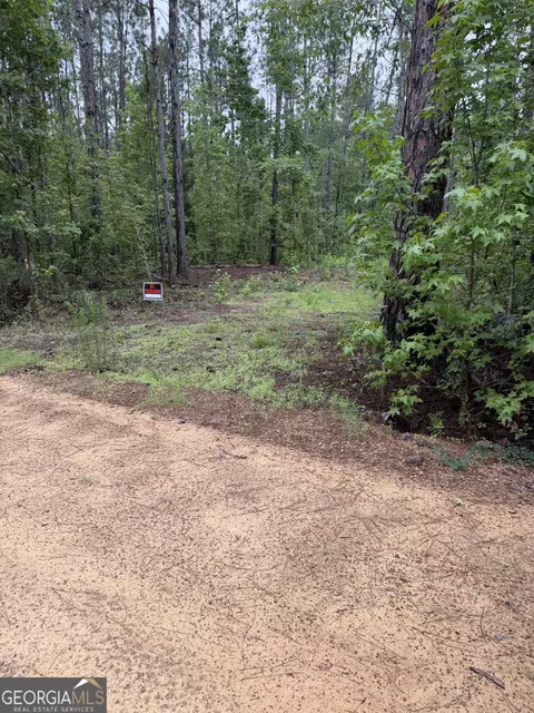 0 Highway 46, Cadwell, GA 31009