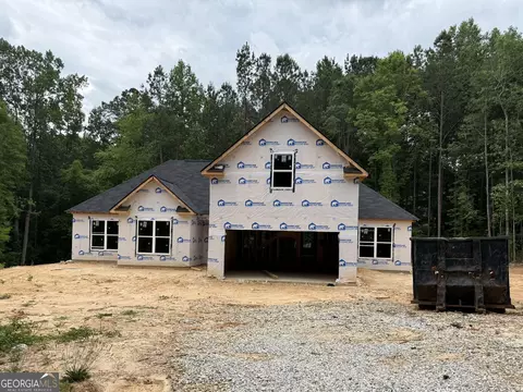 430 Misty Brook Ct, Hampton, GA 30228