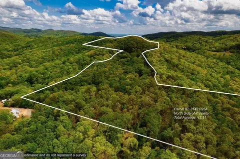 43 91 Old Burnt Mountain Rd #PART OF C, Ellijay, GA 30540
