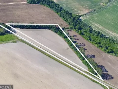 7 78 Acres At 7 Georgia Cir, Hazlehurst, GA 31539