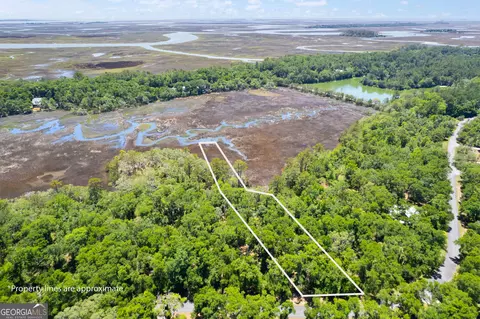 lot54 St Josephs Pt, Darien, GA 31305