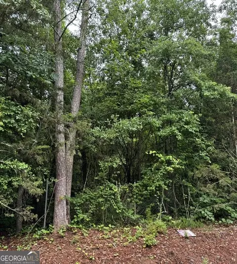 0 Lewis Dr #LOT 20, Lavonia, GA 30553
