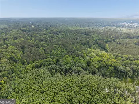 View/Area - 971 Cochran Rd, Covington, GA 30014 photo 1 of 2