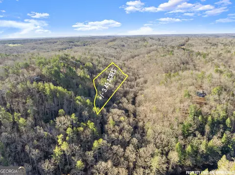 0 River View Lot 12 Trl W, Dahlonega, GA 30533