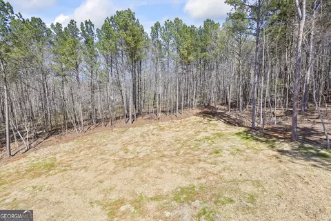 Other - 1229 Morgans Run, Monroe, GA 30656 photo 19 of 21