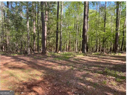 1021 Charles Ct, Greensboro, GA 30642