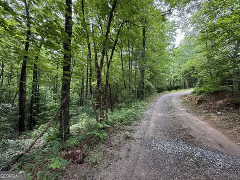 0 Mr Bert Rd, Hiawassee, GA 30546
