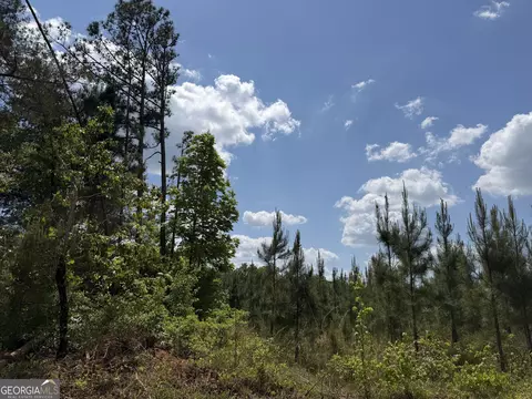 001 George Milling Rd, Cuthbert, GA 39840 photo 3