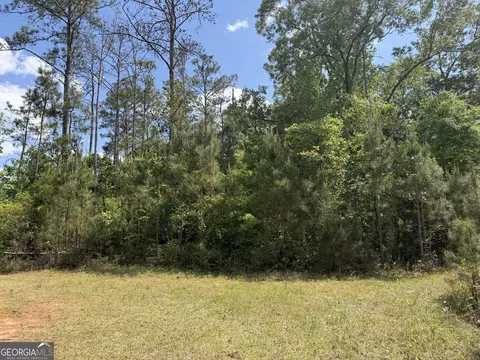 001 George Milling Rd, Cuthbert, GA 39840 photo 7