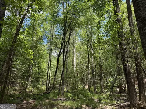 001 George Milling Rd, Cuthbert, GA 39840 photo 5