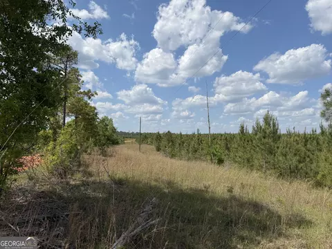 001 George Milling Rd, Cuthbert, GA 39840 photo 6
