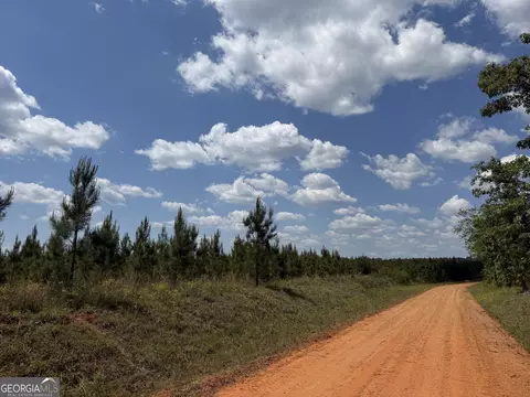 001 George Milling Rd, Cuthbert, GA 39840 photo 4