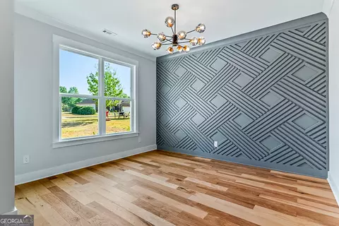 Other - 224 Galway Ln, Hampton, GA 30228 photo 1 of 6