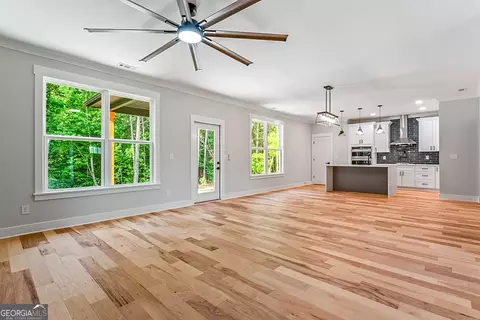 Living - 224 Galway Ln, Hampton, GA 30228 photo 4 of 6