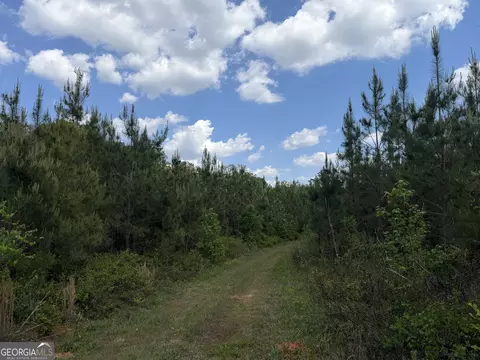 005 George Milling Rd, Cuthbert, GA 39840 photo 3