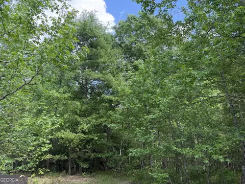 005 George Milling Rd, Cuthbert, GA 39840 photo 11