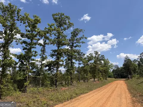 005 George Milling Rd, Cuthbert, GA 39840 photo 8