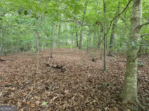 lot270 Arrow Ln, Lavonia, GA 30553