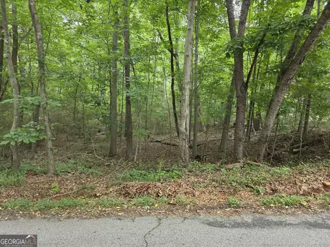 lot109 Arrowhead Dr, Lavonia, GA 30553